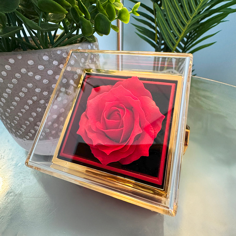 Gold-rimmed lid closed over a red rose, box on a glossy table beside a houseplant